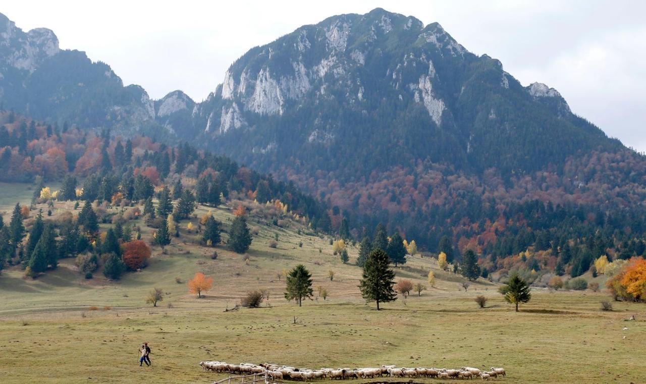 Taverna Pietrei Craiului Zarnesti Luaran gambar