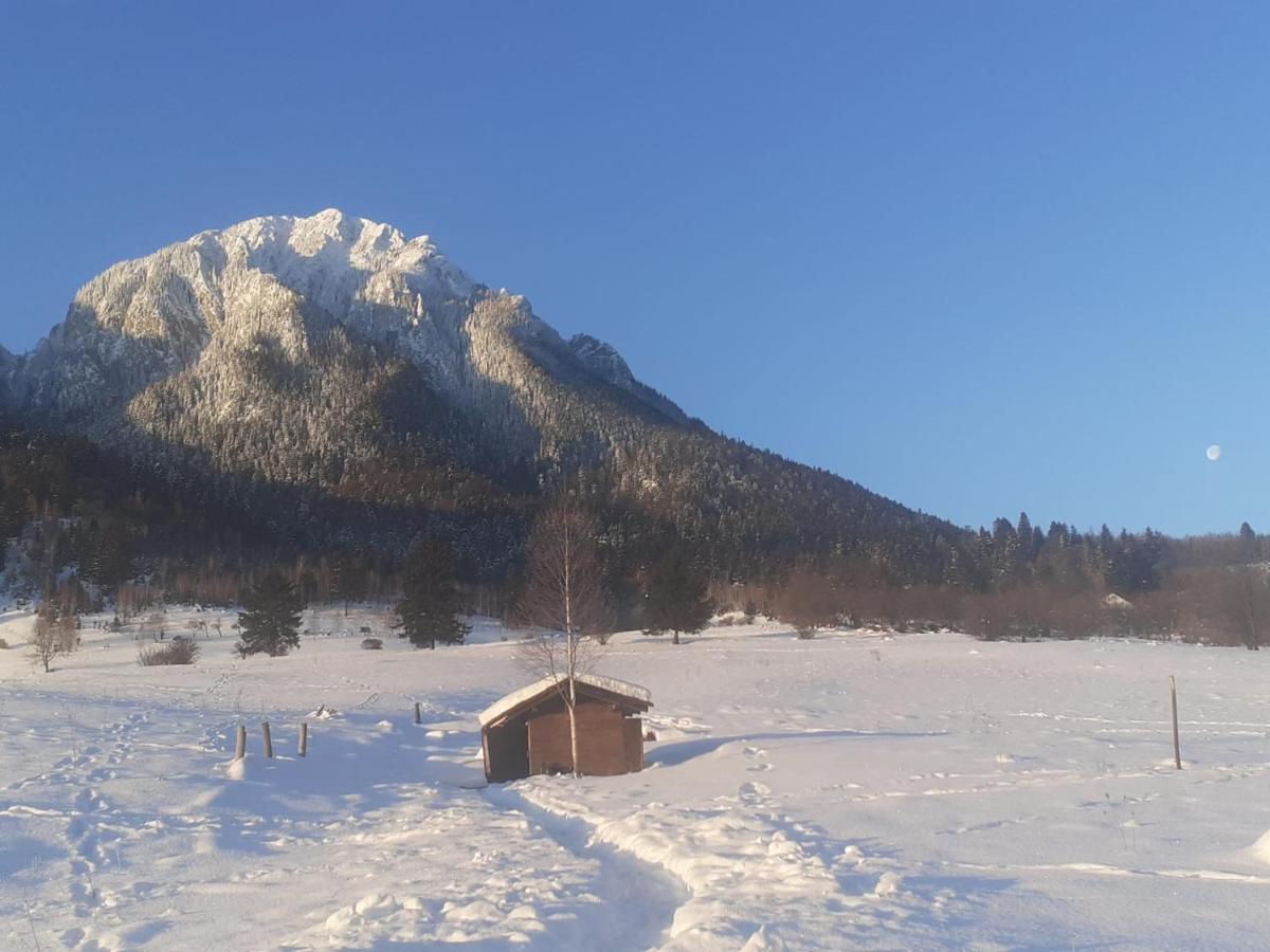 Taverna Pietrei Craiului Zarnesti Luaran gambar
